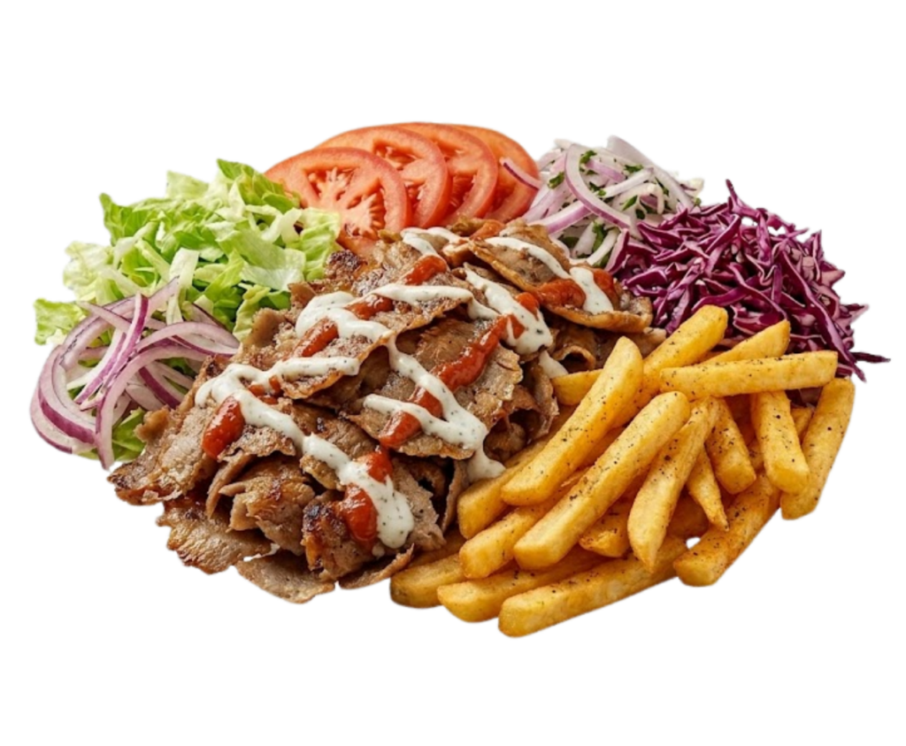 Donner kebab with fries